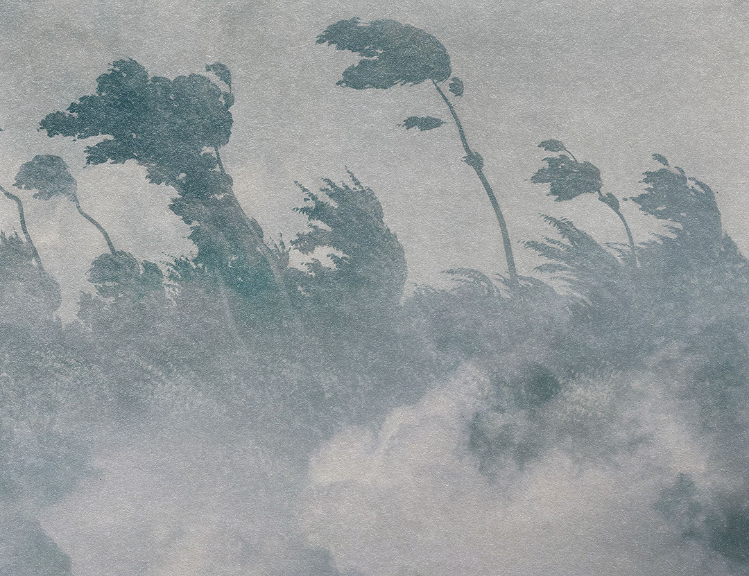 Vintage-Fototapete mit grauer Struktur und Ätzung, Wald im Nebel