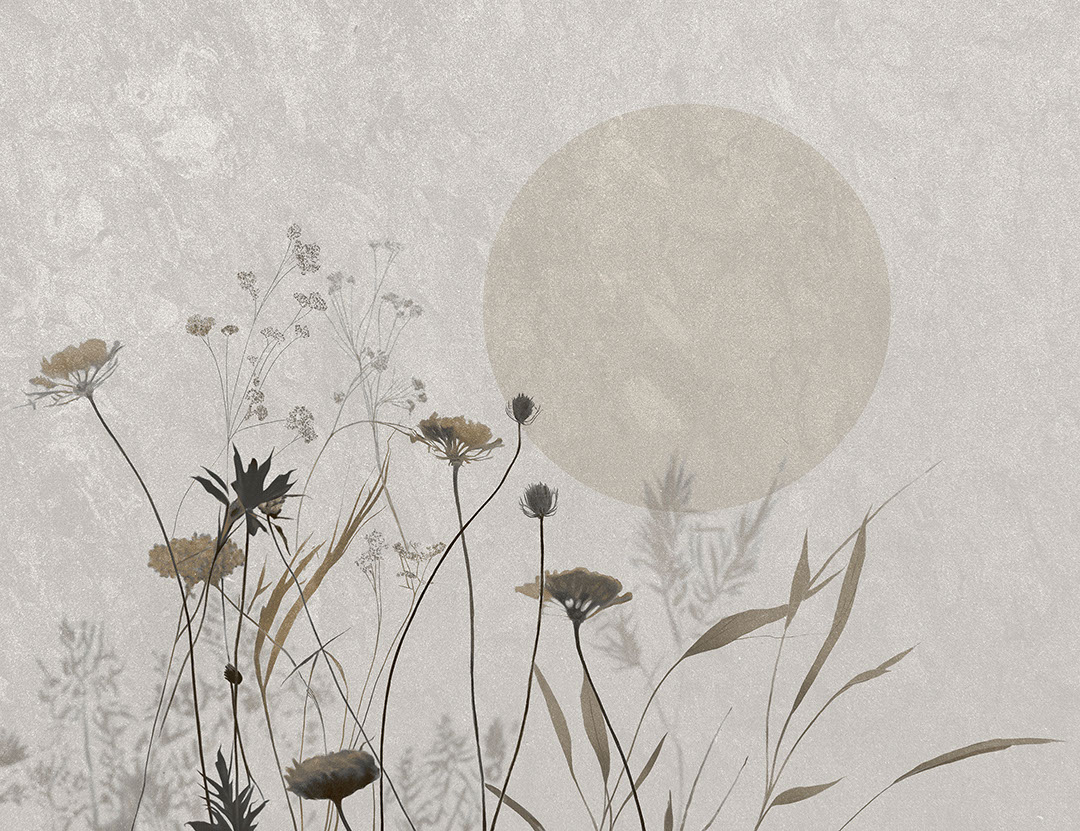 Zarte beige Feldblumen Fototapete
