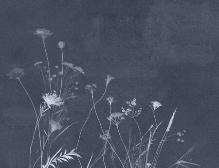 Fototapete zarte Wildblumen auf dunkelblauem Hintergrund